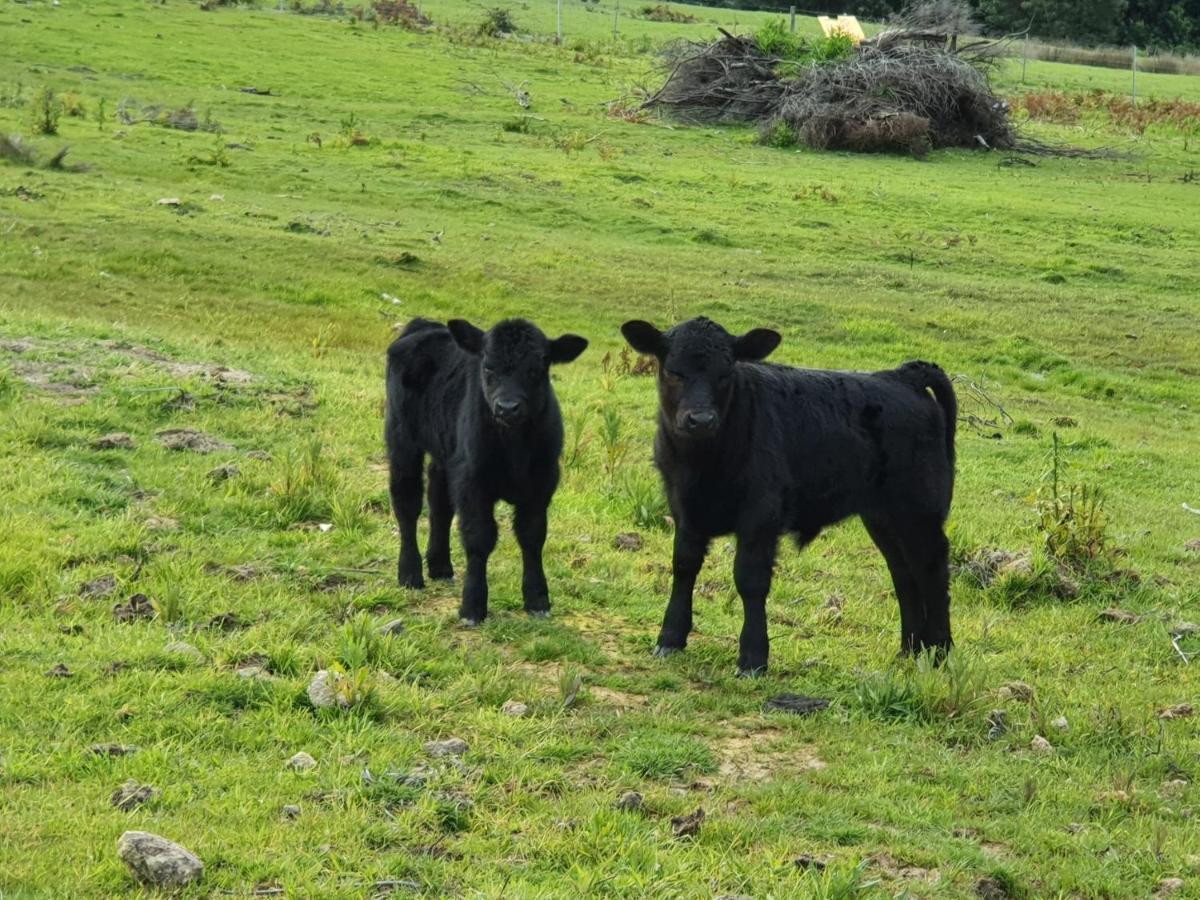 Ruby'S Cottage Farm Stay Порт-Артур Екстер'єр фото